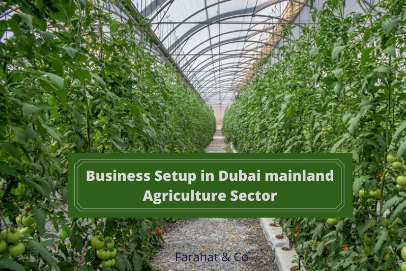 Business Setup in the Agriculture sector of the Dubai mainland