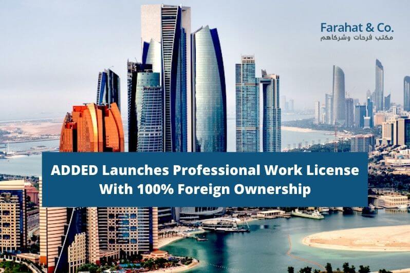 Professional Work License With 100% Foreign Ownership