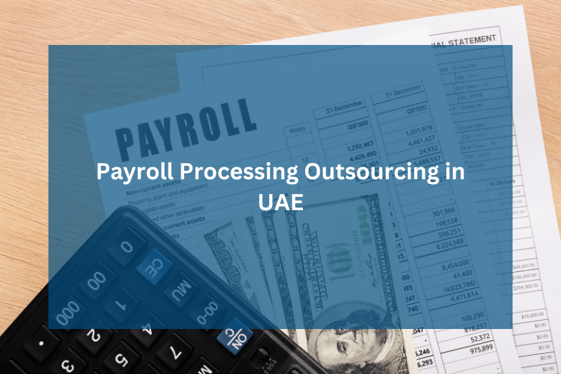 Payroll Processing Outsourcing in UAE