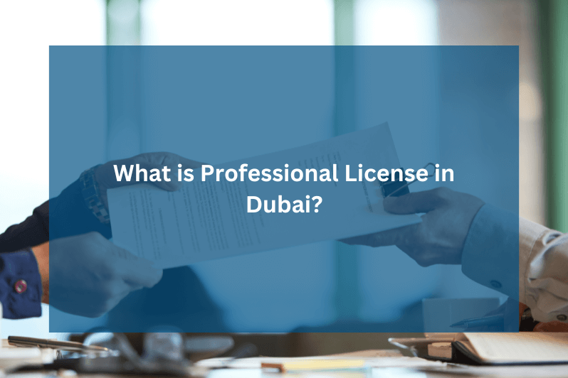 What is Professional License in Dubai